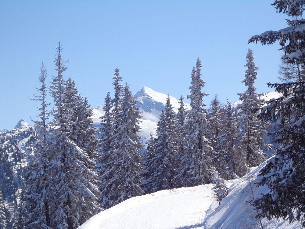Apartment Hinkerhof Schladming Zewnętrze zdjęcie